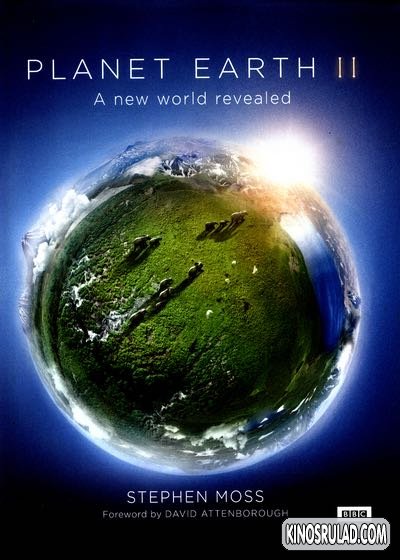 PLANET EARTH season 2 / პლანეტა დედამიწა სეზონი 2