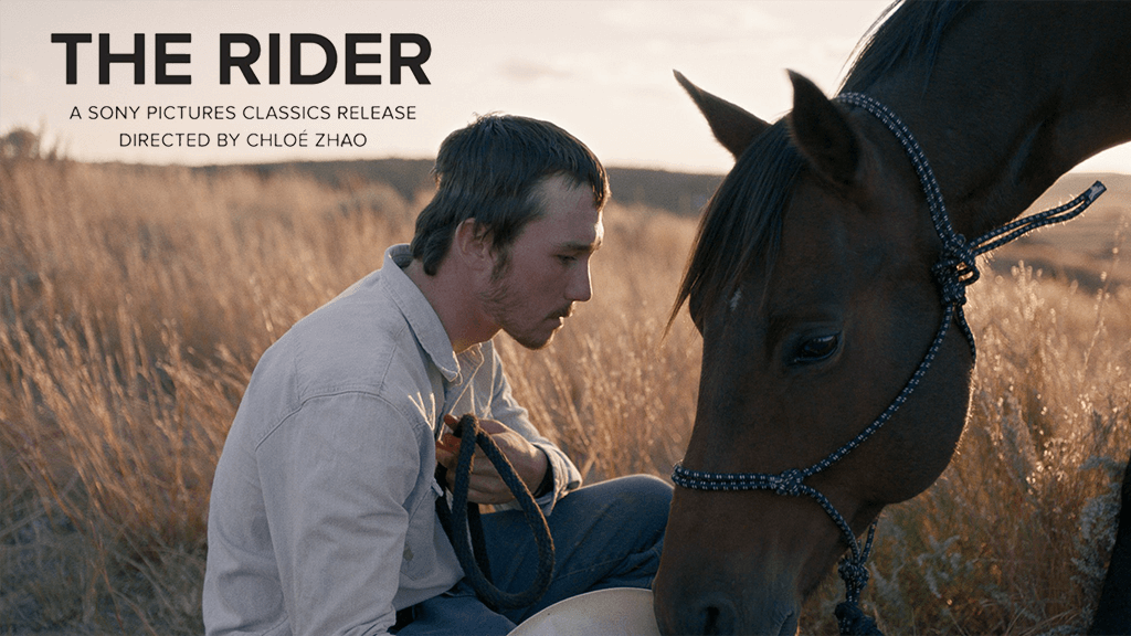 მხედარი ქართულად , THE RIDER , mxedari qartulad