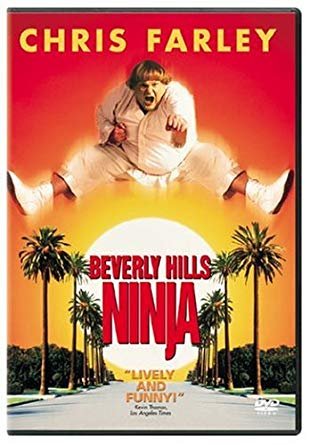 ნინძა ბევერლი ჰილზიდან / Beverly Hills Ninja