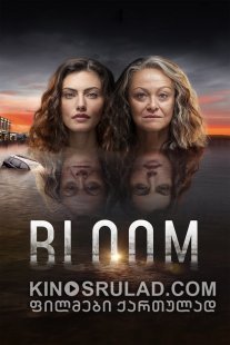 ყვავილი სეზონი 1 /  Bloom Season 1 ქართულად