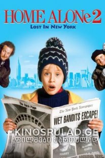 Home Alone 2: Lost in New York / მარტო სახლში 2 (ქართულად)