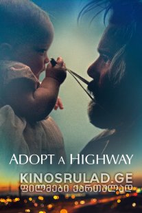 გზას უყურე / Adopt a Highway ქართულად