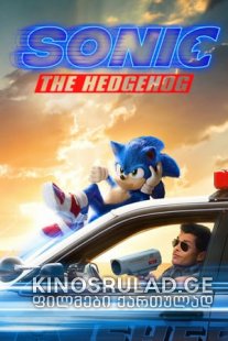 ზღარბი სონიკი 2019 -  Sonic the Hedgehog Qartulad