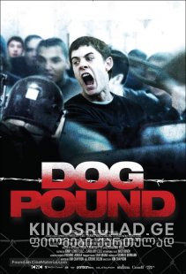 ძაღლების დასამწყვდევი 2020 - DOG POUND